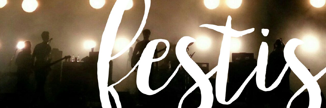 festis.es banner