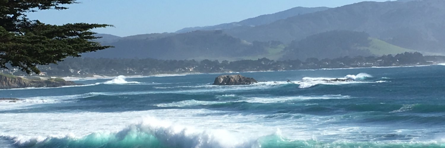 RachellePastor's profile banner image