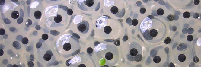 ScienceProfSPO's profile banner image