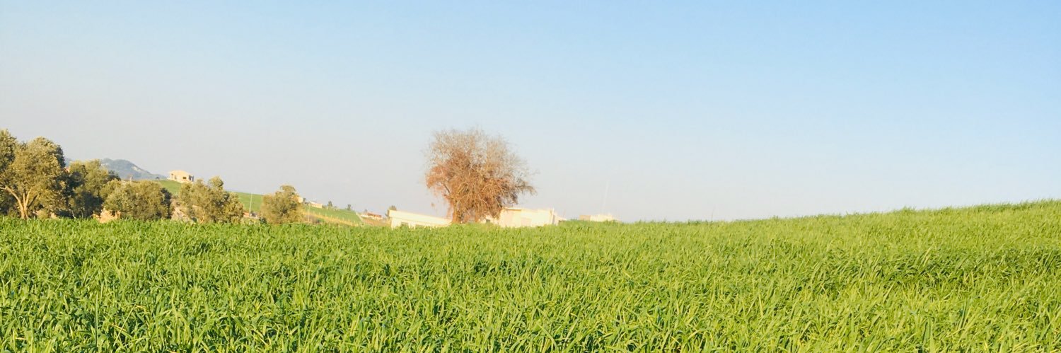 zeynepkavi's profile banner image