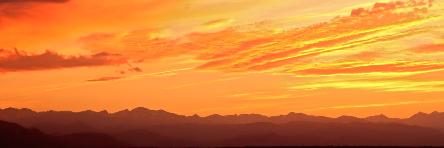 Edward Harrell banner