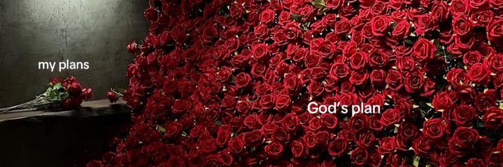 ___s1998b's profile banner image