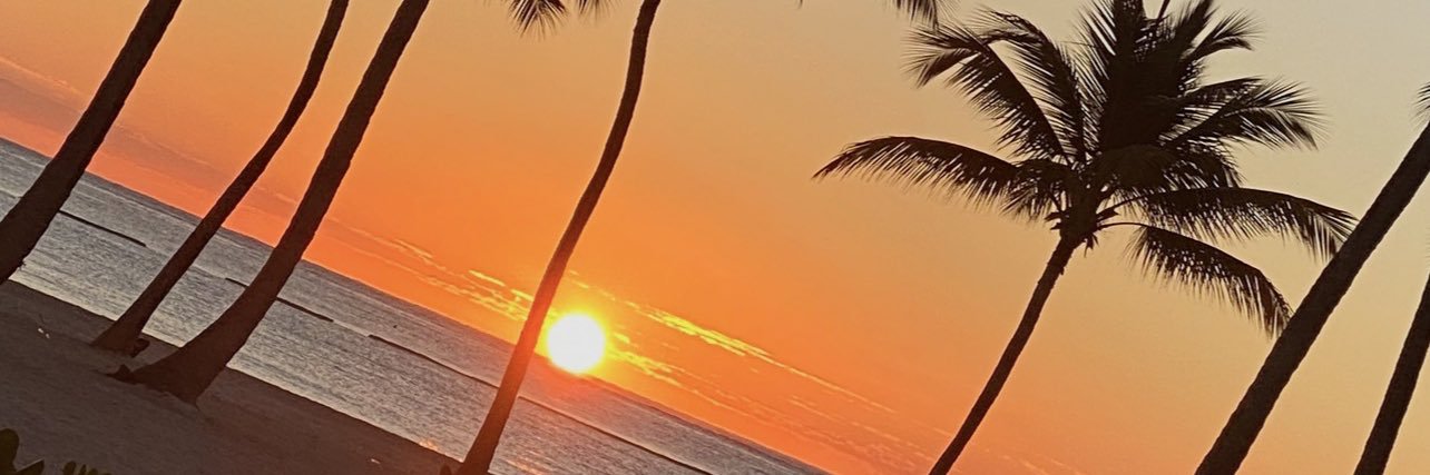 pjsplashnyc's profile banner image