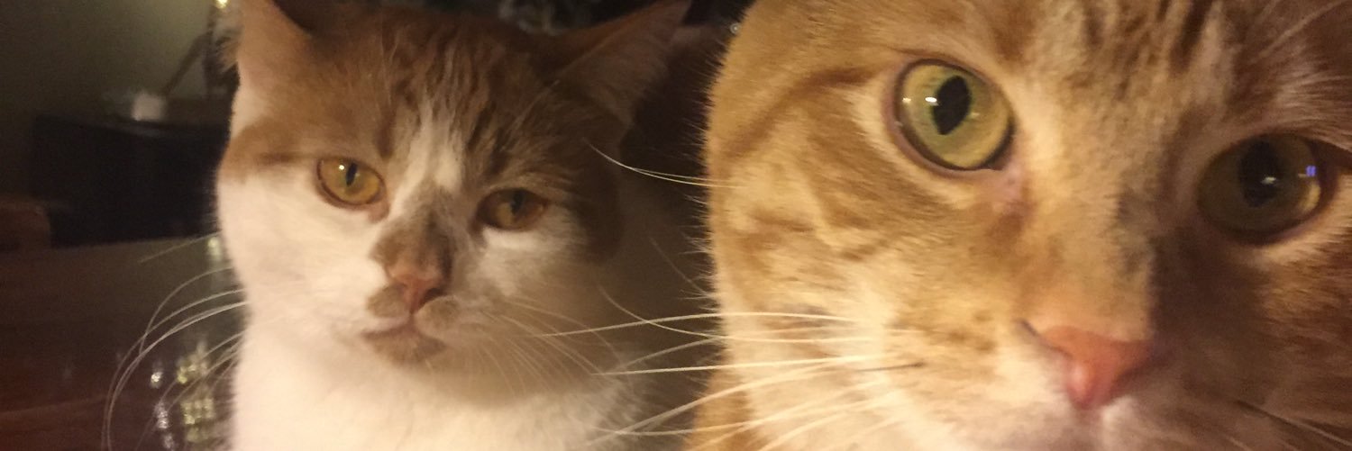 meiermj's profile banner image