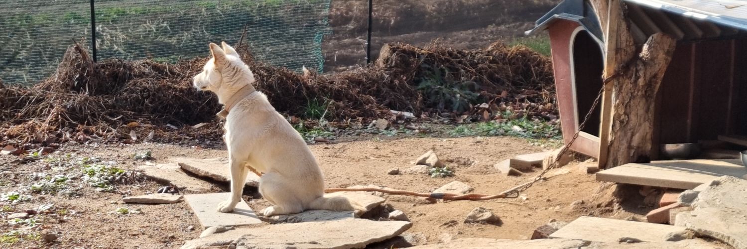 아쌈.픽쳐. banner