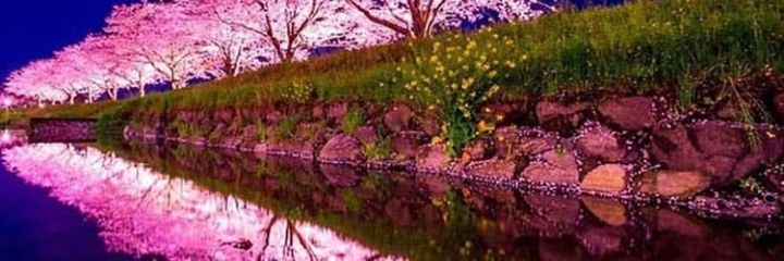 leemarh_umar's profile banner image