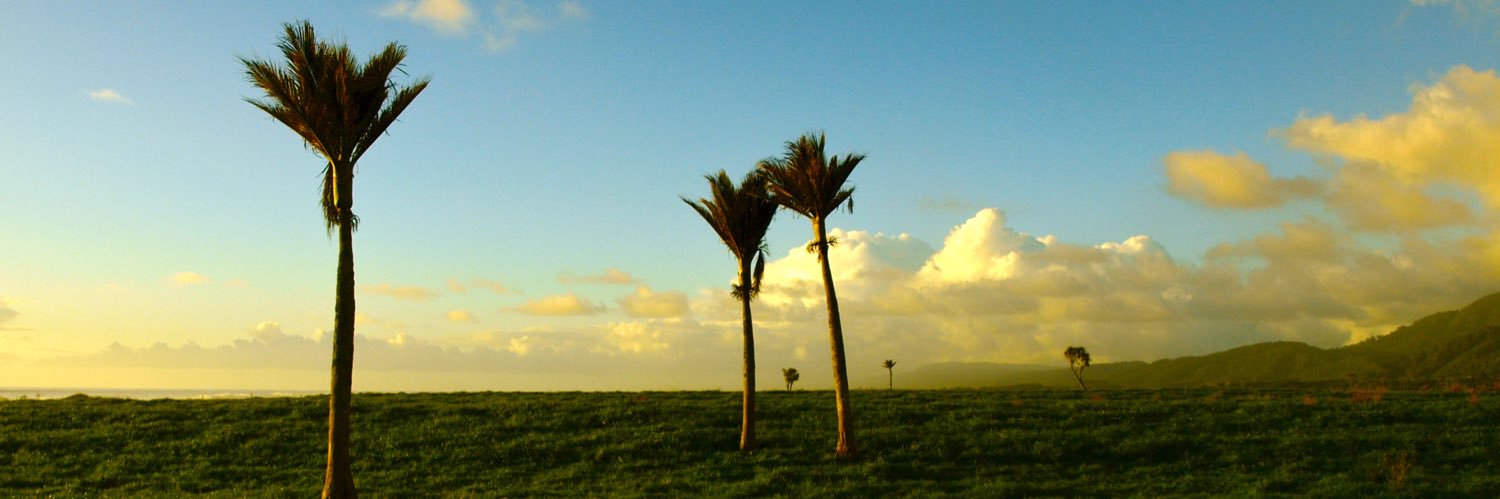 mjsullivan256's profile banner image
