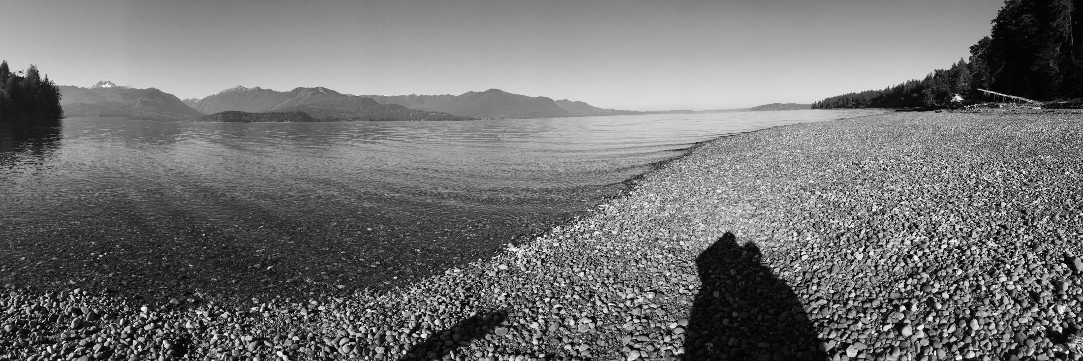 Its Just Shell banner