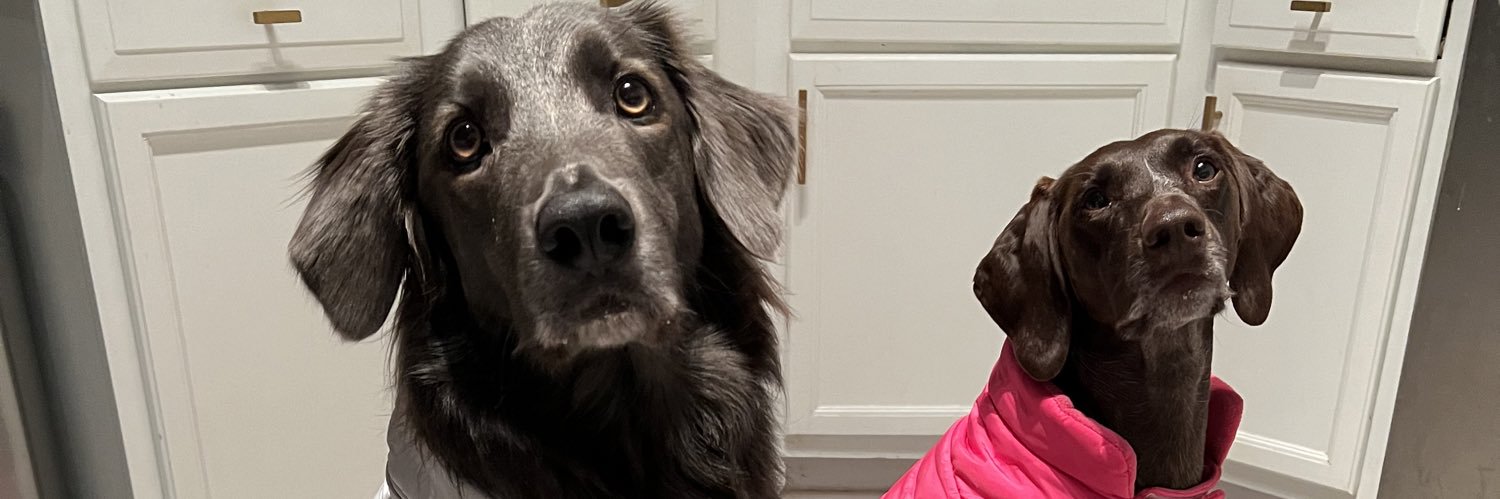 anna_mosley's profile banner image