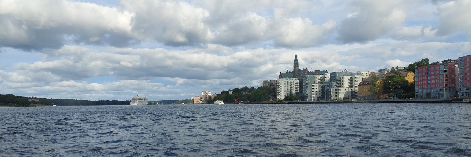 vuijkie1995's profile banner image