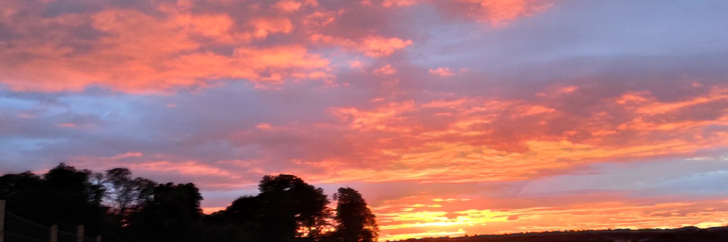 judeanne66's profile banner image