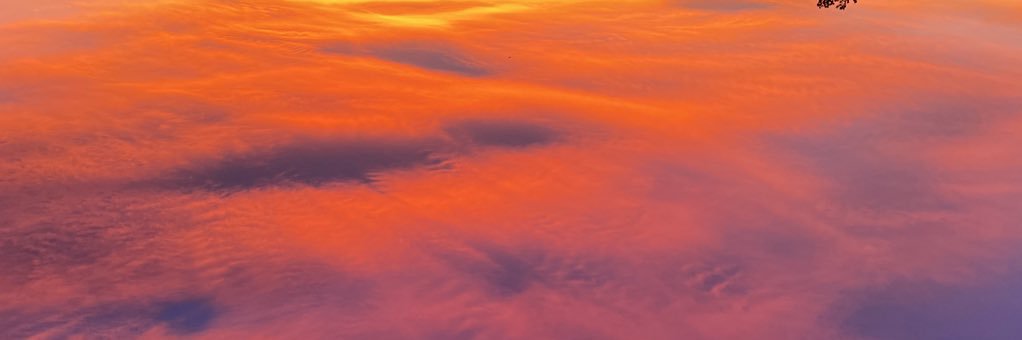 ARaybaud's profile banner image