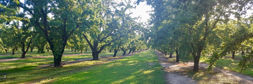 Pacific Nut Producer banner