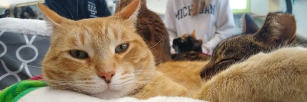 AReciprocate Profile Banner