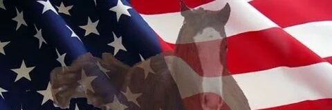 Cowgirlriding banner