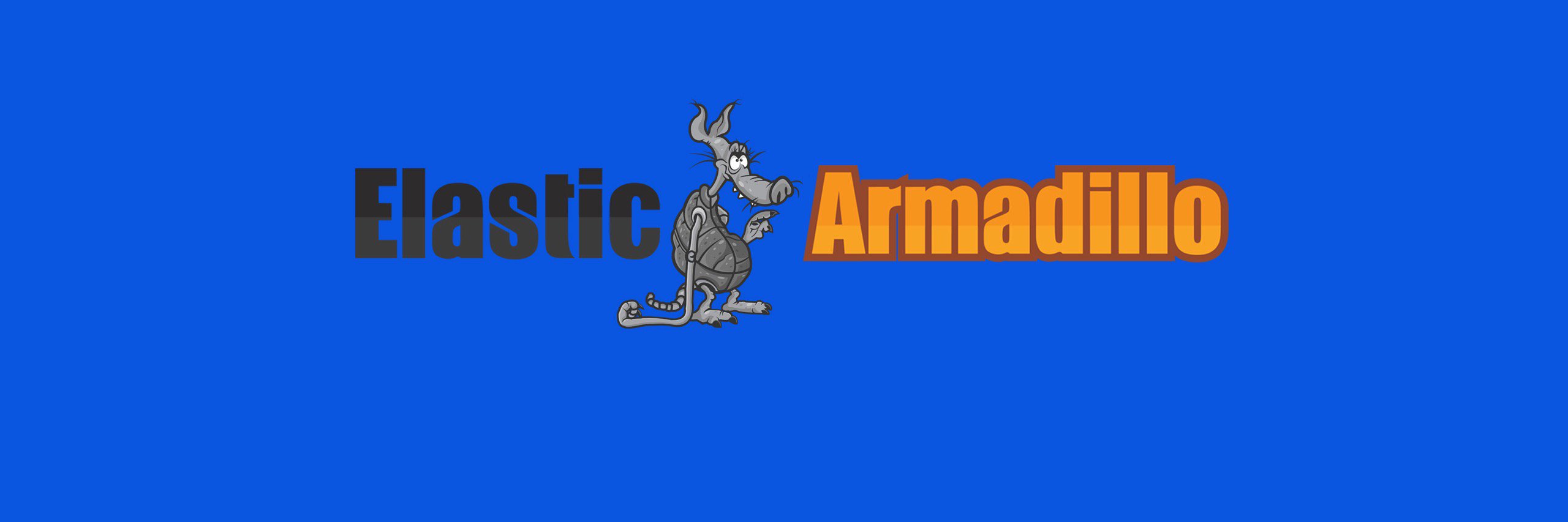 elasticarmadilo's profile banner image