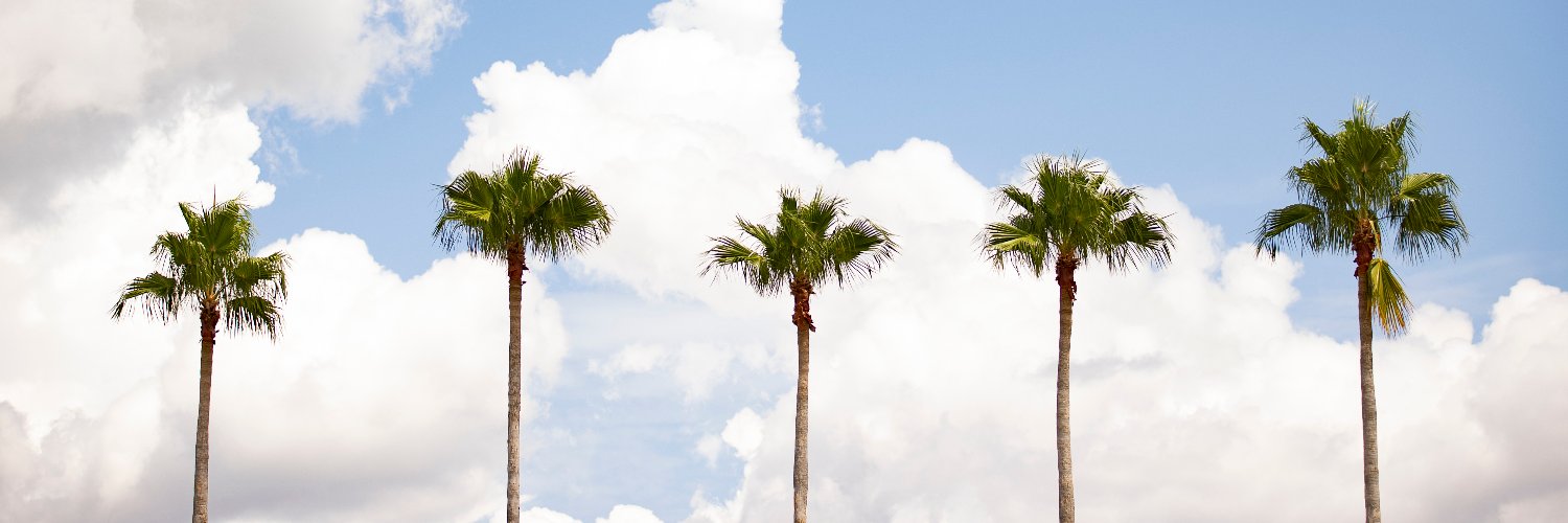 SeanHarding24's profile banner image