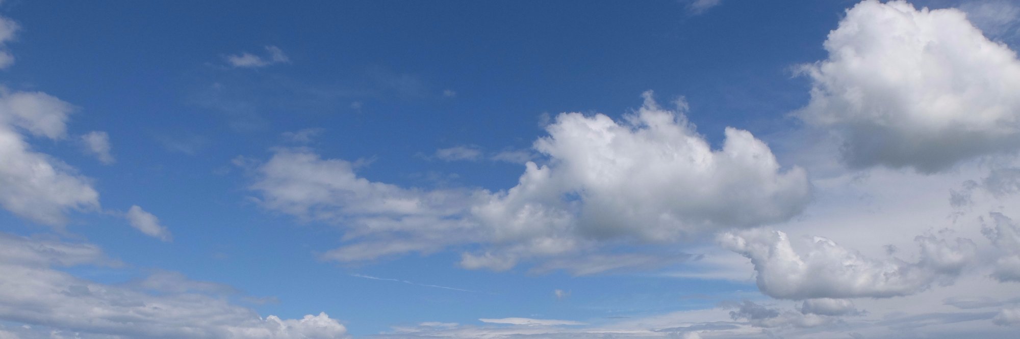 braydie's profile banner image