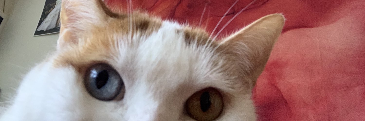 notjaclyn's profile banner image