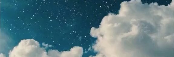 savvybodnar's profile banner image