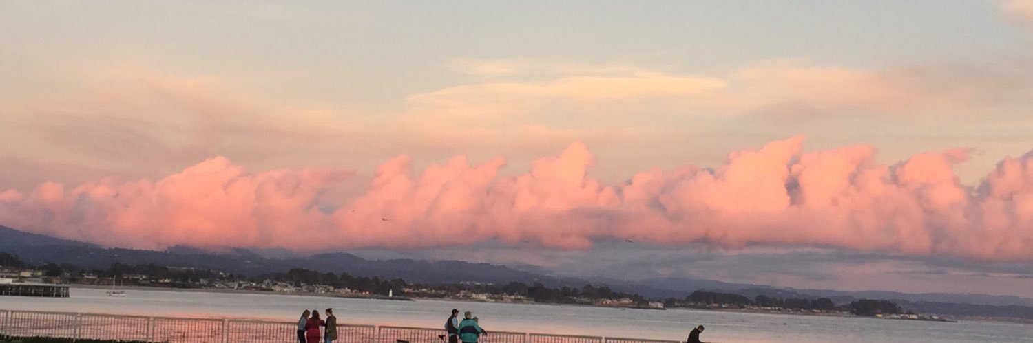 Progressive Dog Mama banner