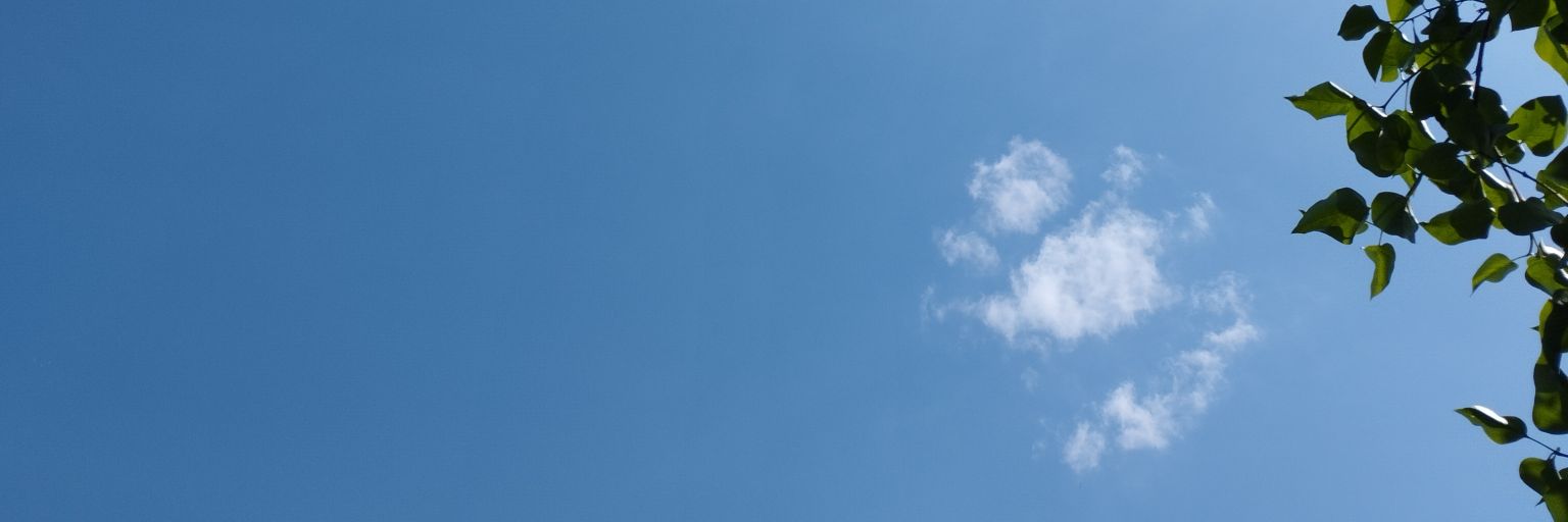 CAnpasi's profile banner image