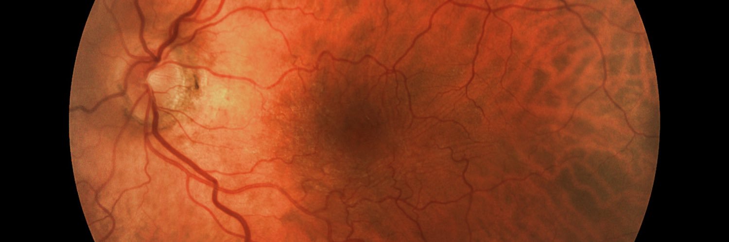 Joe McLean 🇨🇦 banner