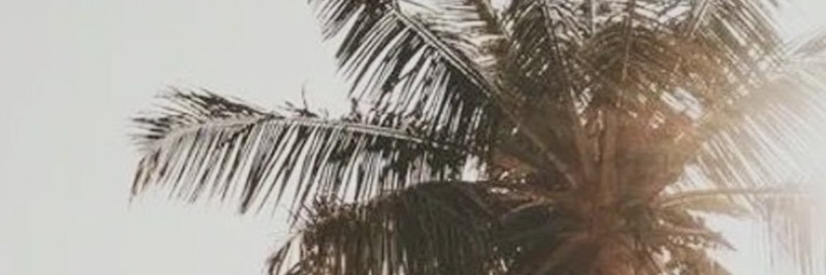 PinkHairInc's profile banner image