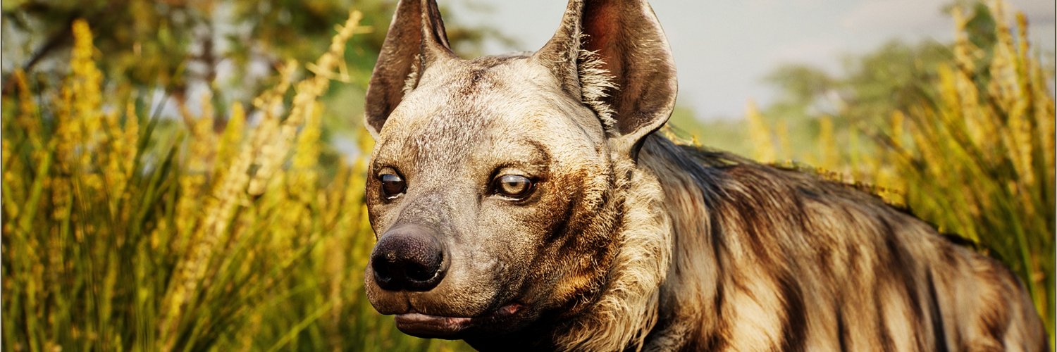 GiManimations's profile banner image
