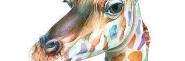 JWilsonsclass's profile banner image