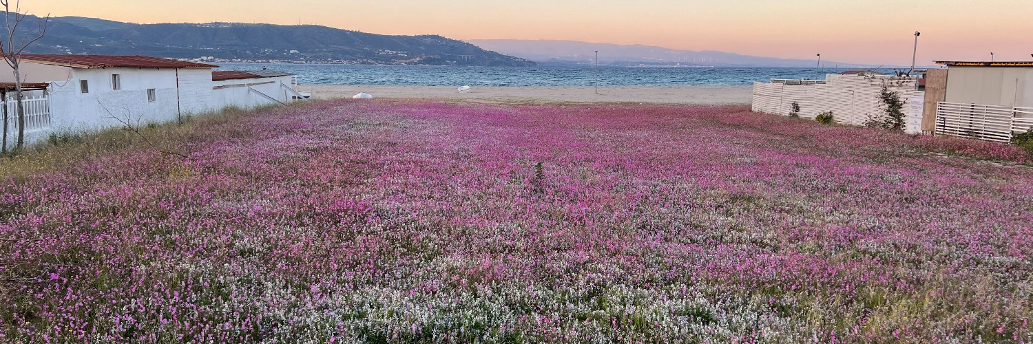 Gianfranco Macrì banner
