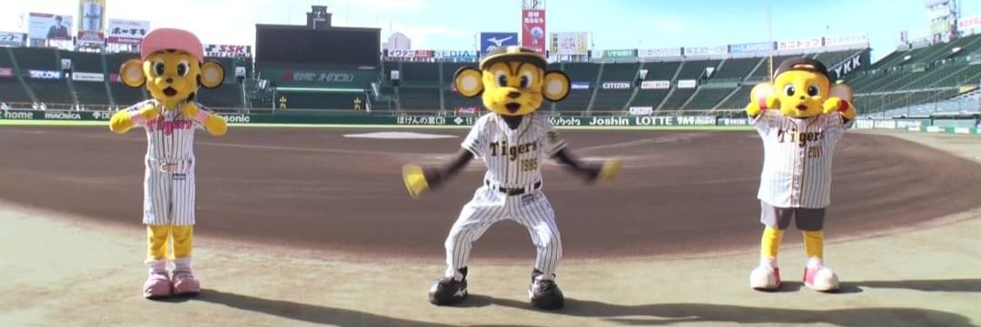 ✈️とっくん🐯 banner