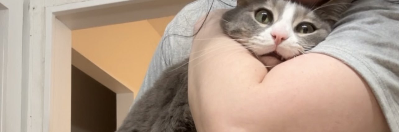 h0ly_trinity's profile banner image