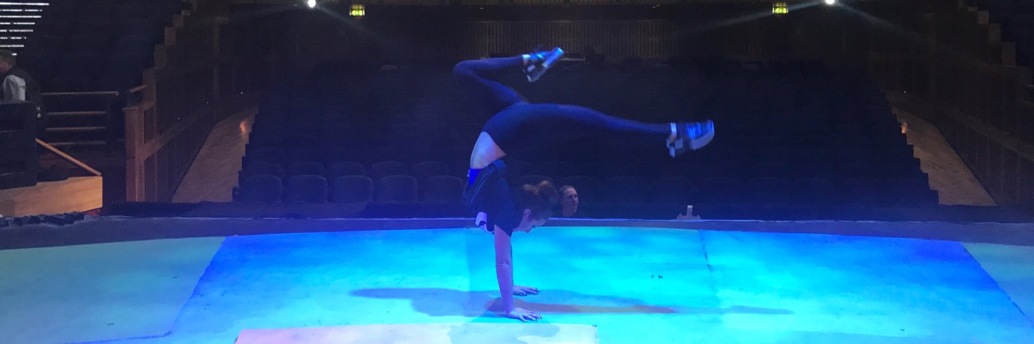 EllenHasson's profile banner image