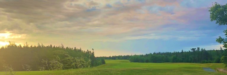 SwyerJ's profile banner image