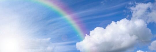 mickayla95's profile banner image