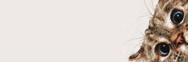 gzmll0's profile banner image