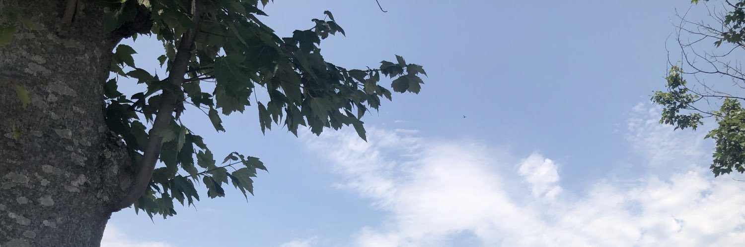 skyeproctor's profile banner image
