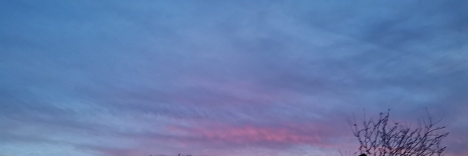 Bairdos's profile banner image