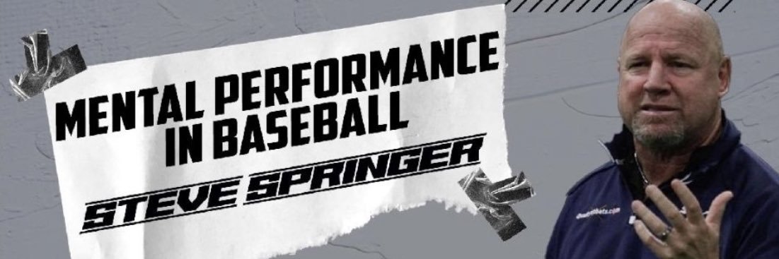 Steve Springer's banner