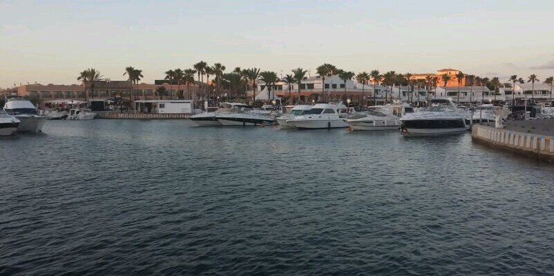 Gillian Beaton SLT banner