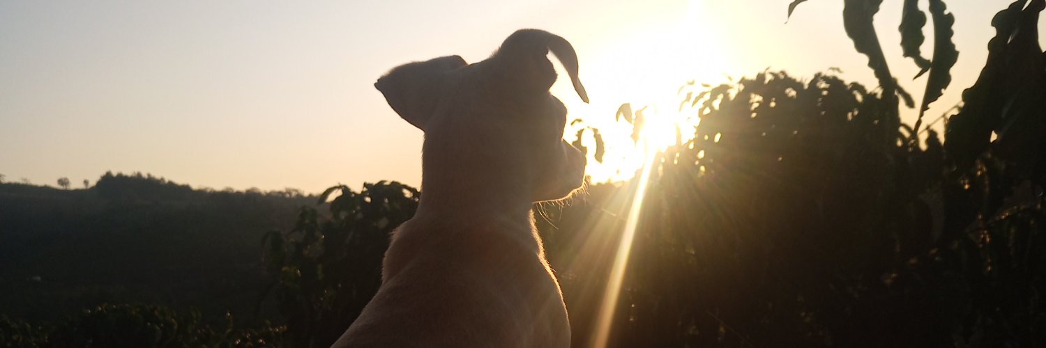 linequerb's profile banner image