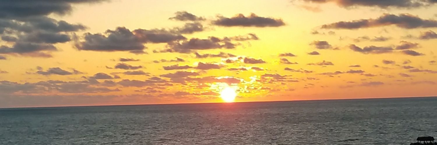 allyrocks24's profile banner image