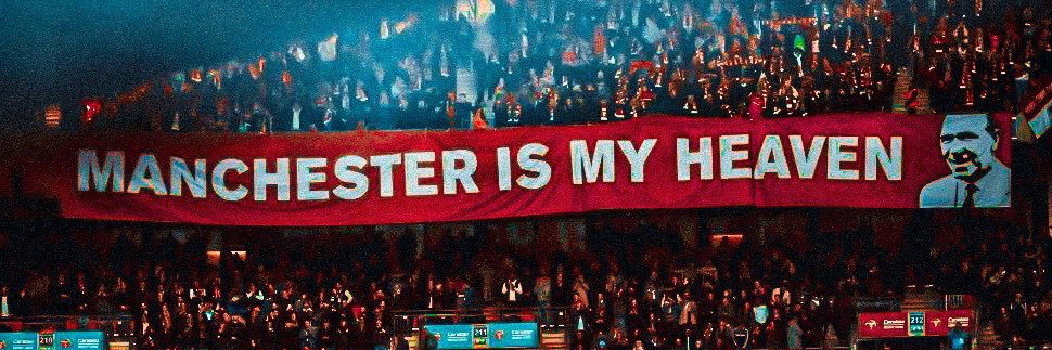 Ryan Daly banner