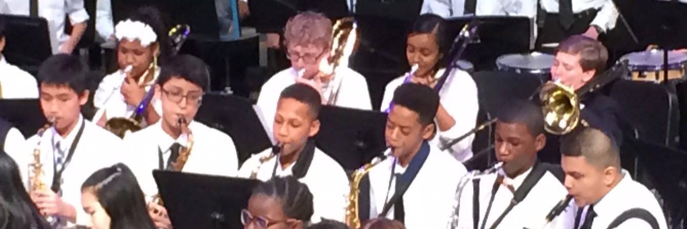 UDAEFoundation banner