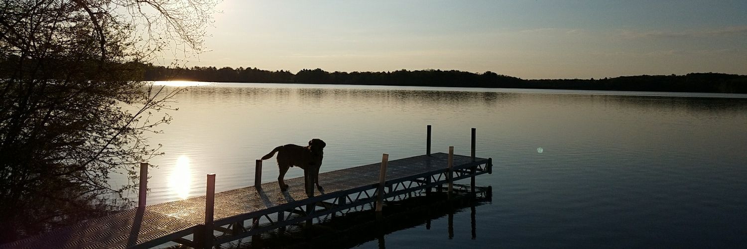kellykitz20's profile banner image