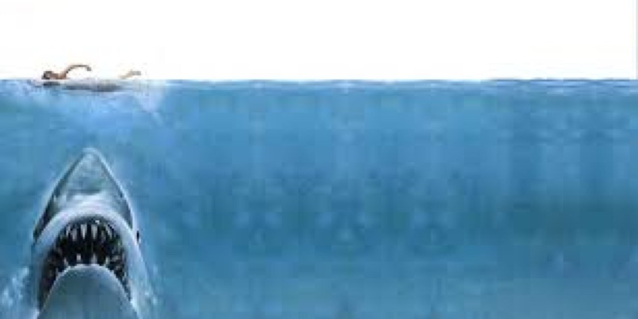 General263's profile banner image