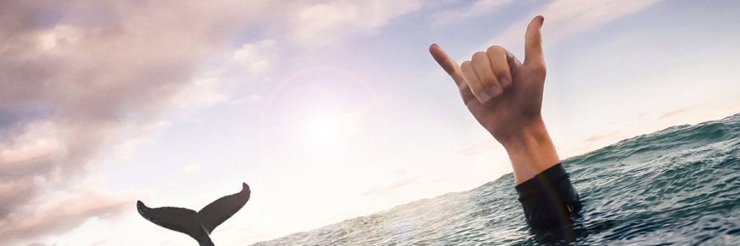 chuzpeh's profile banner image