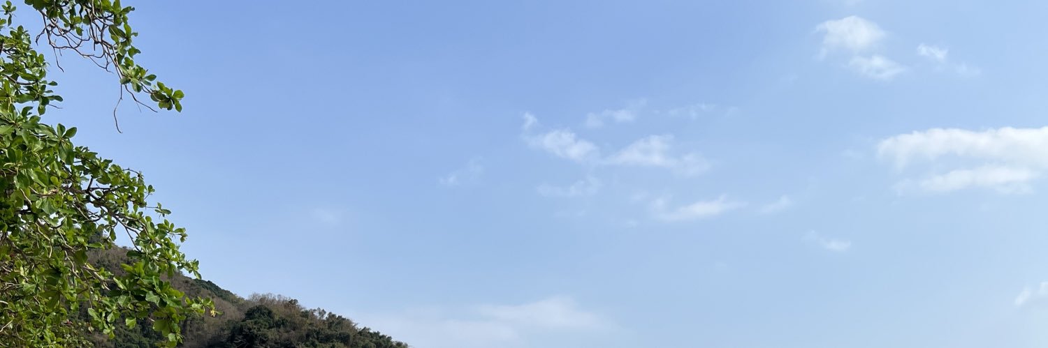 austin_harrel's profile banner image