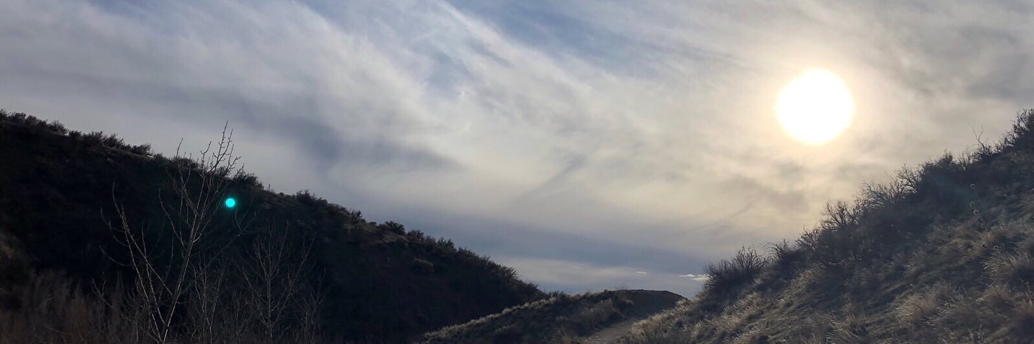 Nicolemaybell's profile banner image